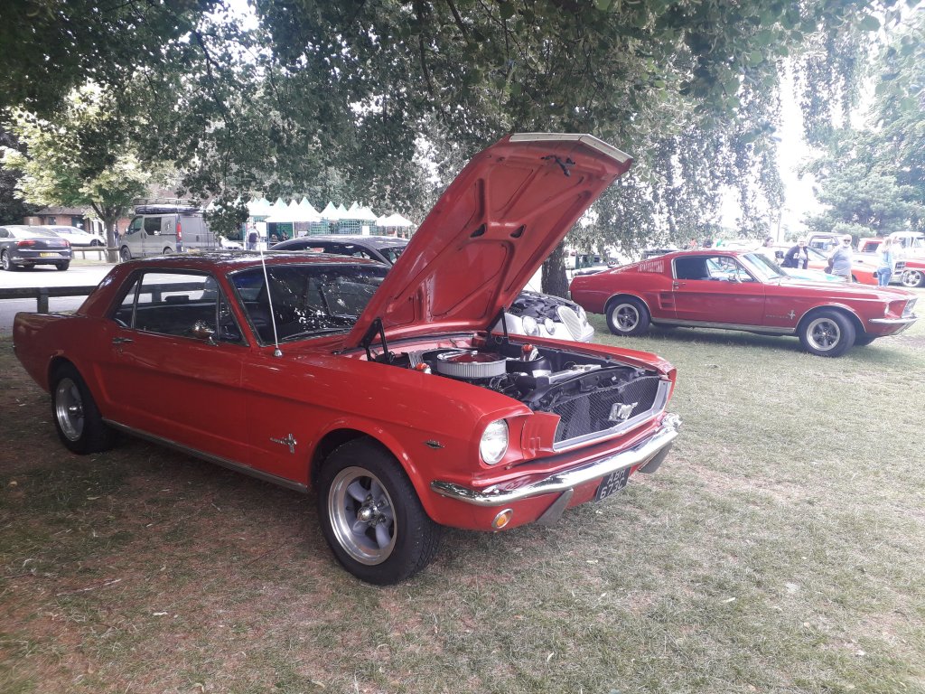 20220626_093539.jpg