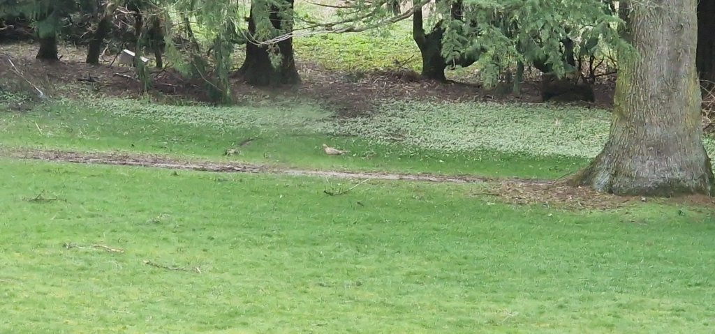 20240406_181857.jpg