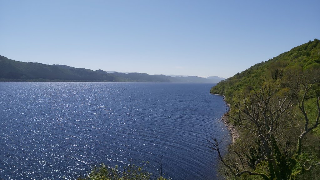 20250514_124642.jpg