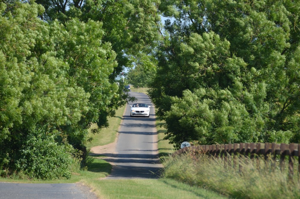 DSC_3548.JPG