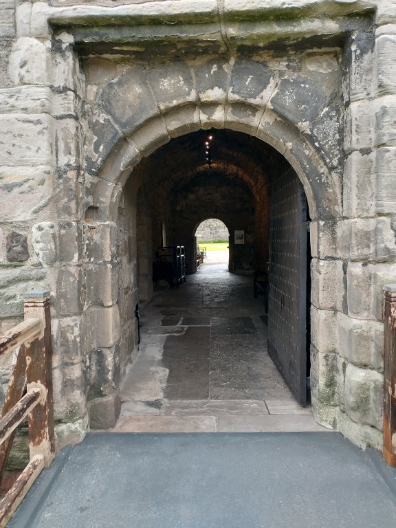 IMG_20240702_110053834_HDR.jpg