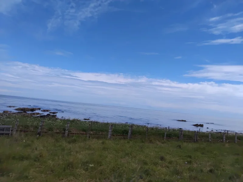 1000011251.webp