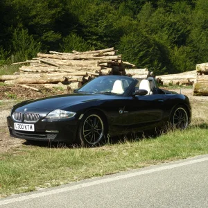 Logging