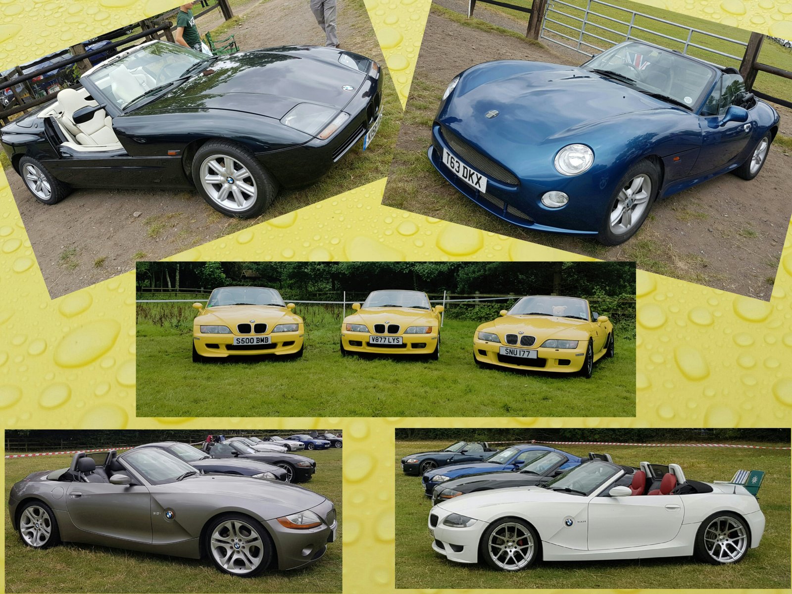 Zedfest collage 2